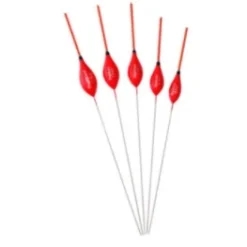 Frenkies Dobber 'Kasper'